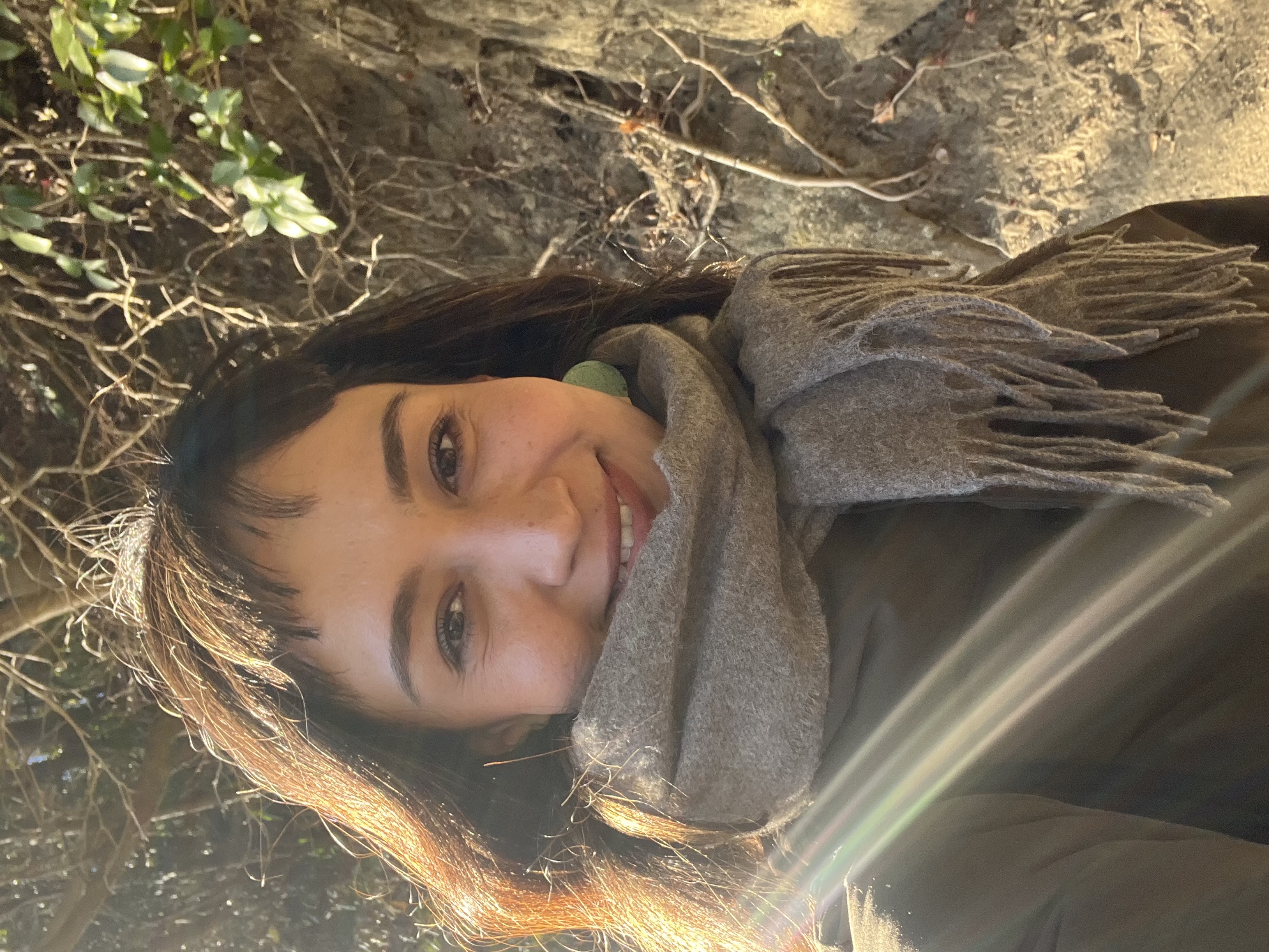 Dinafeisi Aireti